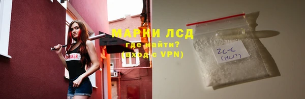 ПСИЛОЦИБИНОВЫЕ ГРИБЫ Алзамай