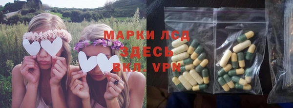 стаф Абаза